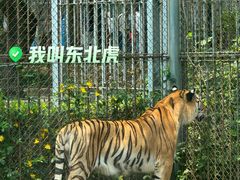 -苏州上方山国家森林公园
