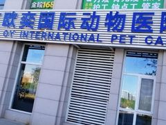 -欧奕国际动物医院