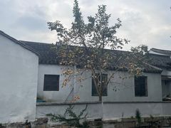 -潘玉麟糖粥