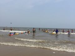 -日照海滨国家森林公园
