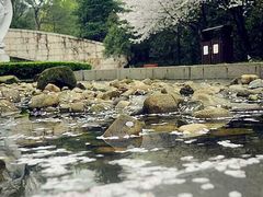 -杭州少年儿童公园