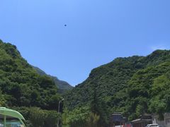 -陕西省红河谷森林公园