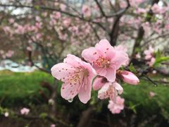 -青岛市图书馆