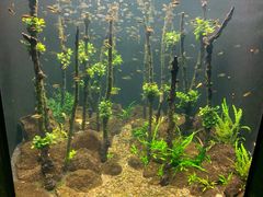 -成都浩海立方海洋公园