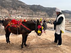 -陕西黄河壶口瀑布旅游区