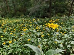 -玉渡山自然风景区