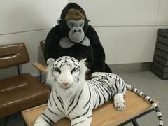 -汉堡王(银川河东机场餐厅)