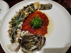 -觅唐MITONG(鸟巢店)