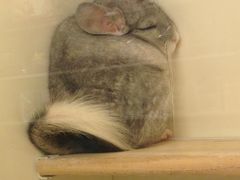 -龙猫仔乐园(惠福东路店)