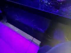 -温莎KTV(国贸店)