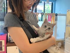 -青石桥花鸟鱼虫市场(叠翠城店)