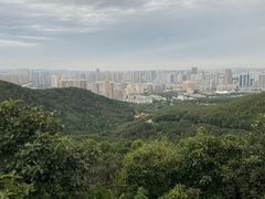 -童牛岭风景区