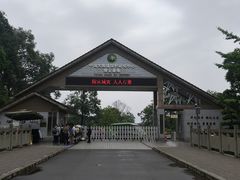 -中国大熊猫保护研究中心雅安碧峰峡基地