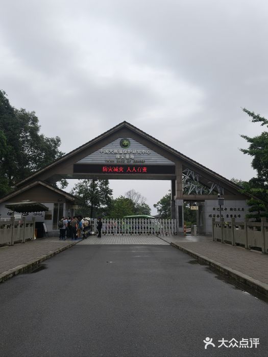 中国大熊猫保护研究中心雅安碧峰峡基地图片