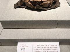 -深圳博物馆(古代艺术馆)