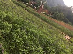 -德庆盘龙峡生态旅游区