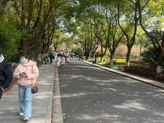 -昆山城市生态森林公园