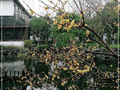 -东山雕花楼