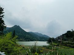 -锦泓老字号猪脏粉(东联大厦店)