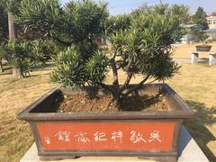 -吴敬梓故居