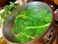 -初蓉丨遇见新川菜(亲贤街荣耀店)