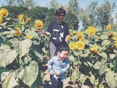 -艾溪湖湿地公园