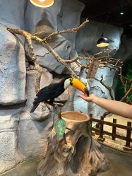 -Zoolung Zoolung动物主题公园(海信广场店)
