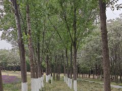 -汉长安城未央宫国家考古遗址公园