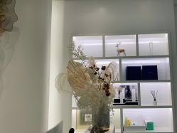 -YESIDO椰岛美容