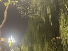 -文瀛公园