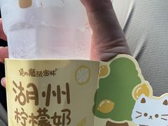 -猫的魔法密林(衣裳街店)