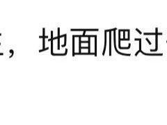 -老乡鸡(西岸凤巢店)