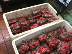 -莲花公园煎蟹(总店)