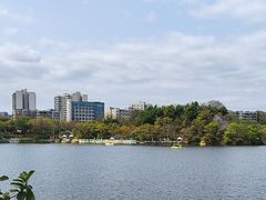 -广东花都湖国家湿地公园