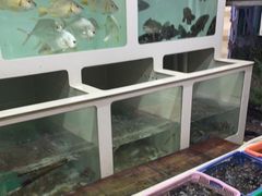 水产区-南蚝小贝海鲜特色餐厅(南澳岛店)