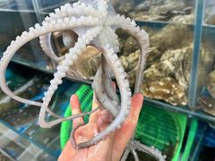 -宾朋海鲜饭庄(兴海路店)