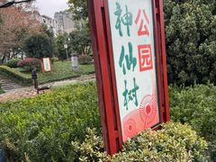 -神仙树公园