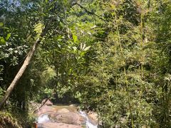 -广州白江湖森林公园