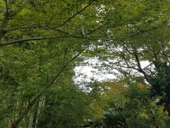 -有栖山 清光院 清水寺