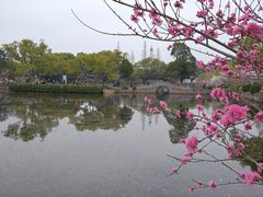 -无锡蠡湖国家湿地公园-蠡园