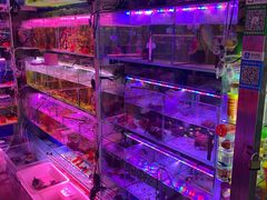 -花鸟鱼虫鲜花绿植市场(玉泉路店)