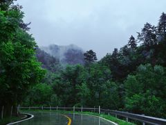 -牛背梁国家森林公园