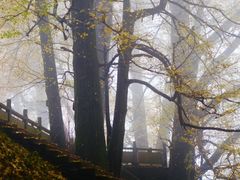 -重庆锦火锅(惠福东路店)