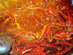 -蜀大侠火锅(总府路店)