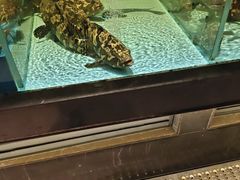 -阿伟海鲜楼·福建菜(延寿店)