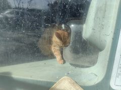 -平行世界·猫咖(首经贸店)