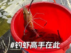 -大象营野Life营地·钓虾(坦尾店)