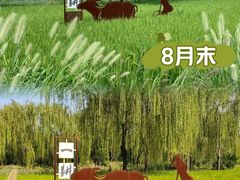 -北坞公园