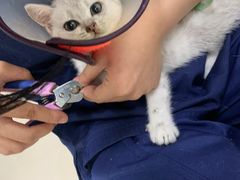 -佳雯宠物医院(金华南路分院)