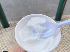-洪馨椰子